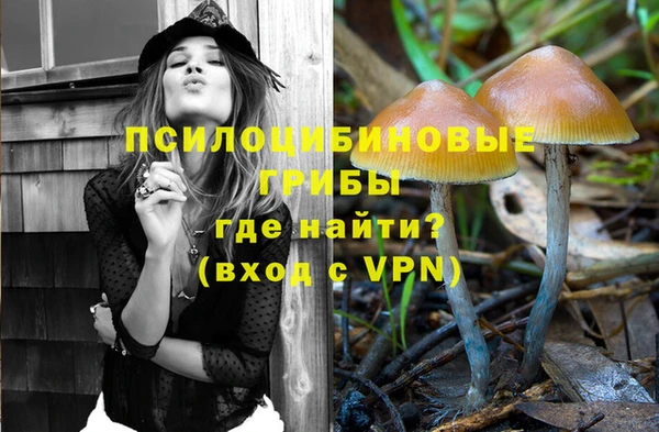 соль курить ск Михайловск