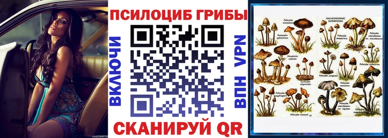 дарнет шоп  Фокино  дарк нет телеграм  Галлюциногенные грибы мухоморы 